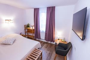 TV a/nebo společenská místnost v ubytování Gasthaus Alte Post