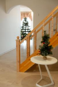 Φωτογραφία από το άλμπουμ του Konrad Family Guesthouse σε Kuressaare +45 φωτογραφίες