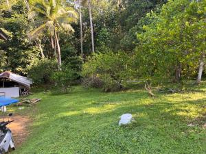 a yard with a white bucket in the grass at Balance home happy in Ban Laem Sai +4 photos