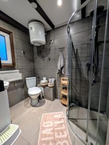 ein Badezimmer mit Dusche, Toilette und Waschbecken in der Unterkunft Bojkówka Domki Wypoczynkowe in Baligród