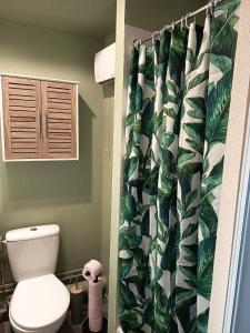 La salle de bains est pourvue de toilettes et d'un rideau de douche tropical. dans l'établissement Grand Studio 4 couchages proche Université et CHU, au Mans