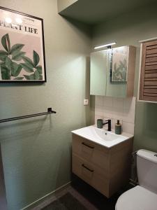 une salle de bain avec un lavabo, des toilettes et un miroir dans l'établissement Grand Studio 4 couchages proche Université et CHU, au Mans