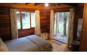 自然谷Peaceful Forest Getaway in Natures Valley的小木屋内一间卧室配有床和窗户