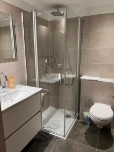 ein Badezimmer mit Dusche, Toilette und Waschbecken in der Unterkunft Appartementhaus Vierjahreszeiten in Willingen