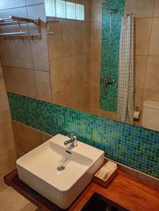 a bathroom with a sink and a shower at Casa con vista al Piltri in El Bolsón +9 photos