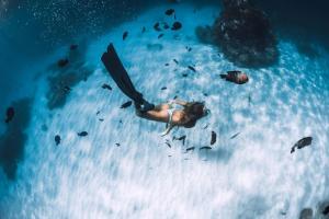 uma mulher no oceano com peixes na água em Casa Laura Follonica em Follonica