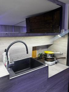 Η κουζίνα ή μικρή κουζίνα στο Bu64-11 Superior