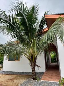 a palm tree in front of a house at Baan Trok Bedroom Studio Maikhao in Mai Khao Beach