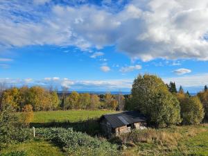 Gallery image of Östgården in Överhallen +17 photos