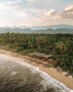 an aerial view of a beach with palm trees at Lote 10 Tayrona Glamping in Guachaca