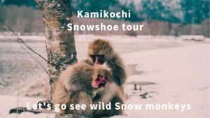 Το Raicho Onsen Inn τον χειμώνα