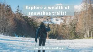 Το Raicho Onsen Inn τον χειμώνα +105 φωτογραφίες