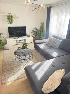 a living room with a couch and a tv at Sunset Hill Apartments in Brodarica