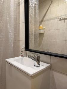 a bathroom with a sink and a mirror at Charmant studio next Arc de Triomphe in Paris