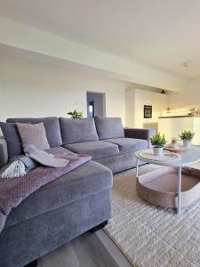 a living room with a gray couch and a table at Panorama trifft Gemütlichkeit in Nümbrecht +13 photos