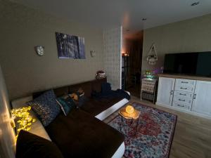 Una sala de estar con un sofá y un televisor. en Narva art-object apartment, en Narva