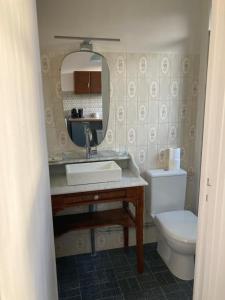 ein Badezimmer mit Waschbecken, Toilette und Spiegel in der Unterkunft Maison avec jardin à Sully Sur Loire in Sully-sur-Loire