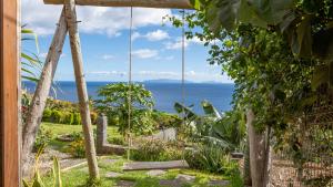 Příroda nedaleko vily