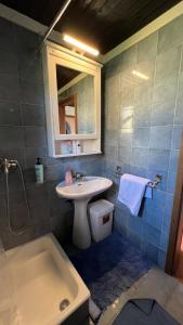 GrgarWe rent a nice cozy house in a pleasant nature的带水槽和浴缸的浴室