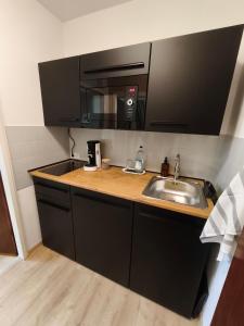 Kuchyň nebo kuchyňský kout v ubytování Apartment Nestl