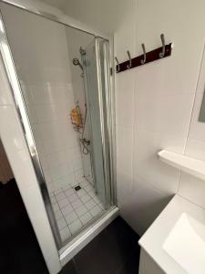 a shower with a glass door in a bathroom at Sweet Dream House in Brussels