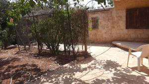 Zahrada ubytování דירת נופש צימר אירוח בצפת צפון קרוב למקווה ורשבי + 5 fotografií