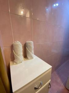 Koupelna v ubytování Apartman Benjamin