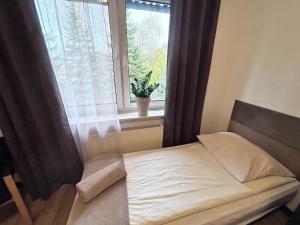 Afbeelding uit fotogalerij van Kozienice Dream Hostel 