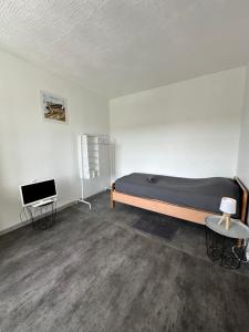 TV a/nebo společenská místnost v ubytování Petit studio rénové en centre ville - Apt8