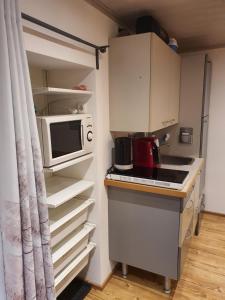 a small kitchen with a microwave and a stove at Apartment Altenhof in Altenhof +17 photos