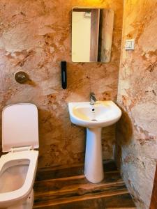 a bathroom with a sink and a toilet at Mitra Palolem in Canacona