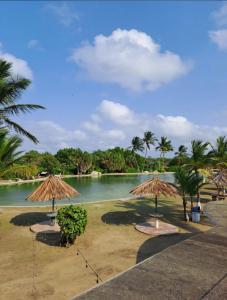 einen Strand mit Sonnenschirmen und einem Körper aus Wasser in der Unterkunft Alquilo apto 8 personas en Caribbean Suit - Tucacas in Los Corales