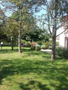 zwei Bäume auf einer Wiese mit einem Haus in der Unterkunft B&B Il Gelso - San Pietro in Casale in San Pietro in Casale