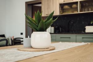 eine Pflanze in einer weißen Vase auf einem Tisch in der Unterkunft Cozy HillSide in Borşa + 16 Fotos