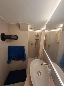 a bathroom with a toilet and a blue towel at Appartement Valaisan typique in Guttet-Feschel