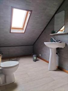 a bathroom with a toilet and a sink and a window at studio de l'ancienne gendarmerie in Mons