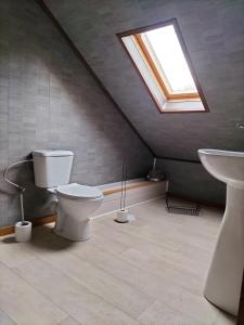 a bathroom with a toilet and a sink and a skylight at studio de l'ancienne gendarmerie in Mons