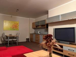 Μια τηλεόραση ή/και κέντρο ψυχαγωγίας στο Golem Apartments