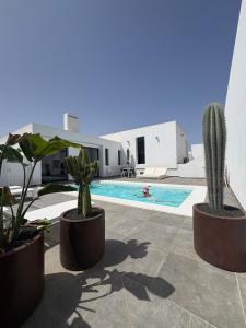ein Pool mit zwei Kakteen und einem Haus in der Unterkunft Casa Blanca - Villa à Teguise avec piscine privée in Teguise