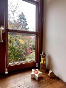 Fotografie z fotogalerie ubytování Cocooning alsacien v destinaci Ottmarsheim