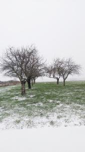 L'Orée des Champs v zimě + 53 fotografií