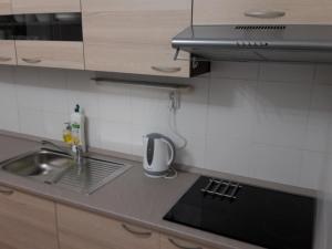 Kuchyň nebo kuchyňský kout v ubytování APARTMÁN LUČENEC city & parking + 9 fotografií