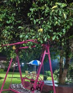 Κήπος έξω από το Barhoitoka Homestay