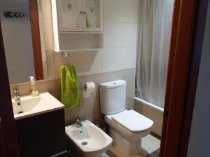 a small bathroom with a toilet and a sink at Ático Dúplex en Delta de l'Ebre dos terrazas y balcón in Deltebre +18 photos