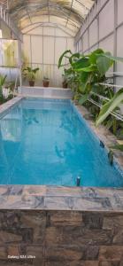 a large swimming pool in a building with plants at sea zars villa in Cochin +8 photos
