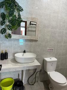 a bathroom with a sink and a toilet and a mirror at Erindra Villa in Pesanggaran
