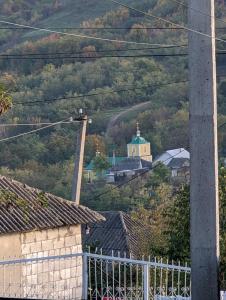 Φυσικό τοπίο κοντά σε αυτό το διαμέρισμα