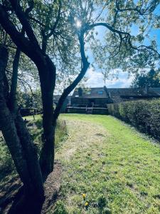 Zahrada ubytování Nature, chaleur, calme et confort au coeur des Ardennes belges