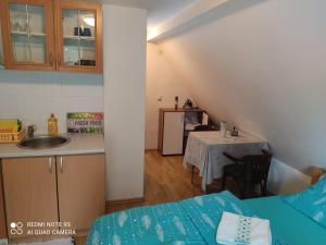 a kitchen with a sink and a table in a room at Vikend kuća Libertas in Šišava
