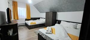 Billede fra billedgalleriet på Pensiunea Adriana Straja i Straja